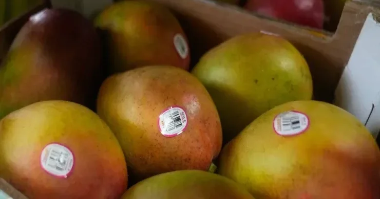 Bu meyvələr qaraciyəri alkoqoldan da pis məhv edir