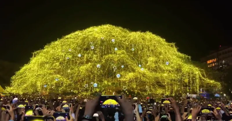В этом городе дерево украсили тысячей гирлянд ВИДЕО