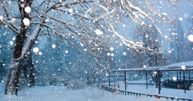 Gədəbəyin bu kəndində şiddətli qar yağır VİDEO