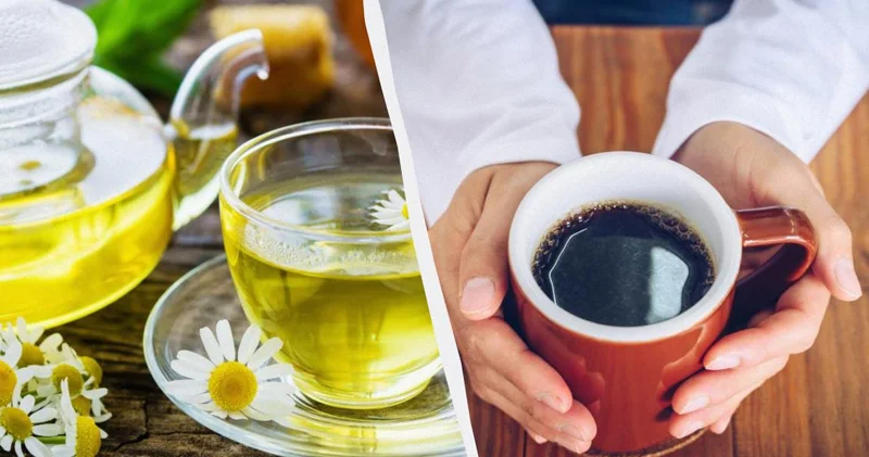 Hansı daha faydalıdır: Qəhvə, yoxsa çay?