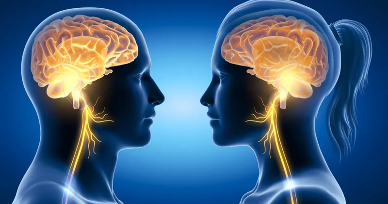 Ученые выяснили, что мозг мужчин стареет гораздо быстрее