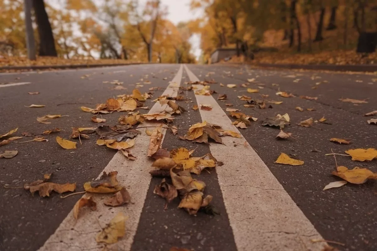 В Азербайджане завтра будет ветрено, без осадков