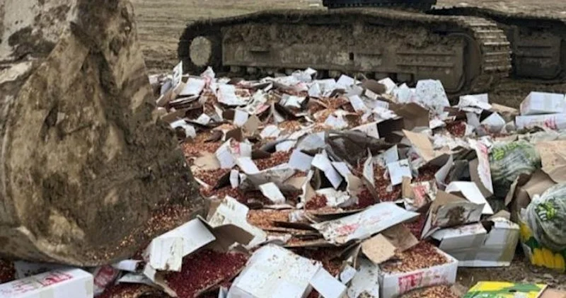 Özbəkistandan gətirilən 3 ton araxis məhv edildi Fotolar