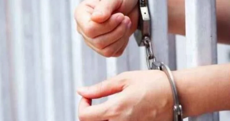 Azərbaycanda törədilən cinayət hadisələrinin sayı məlum oldu