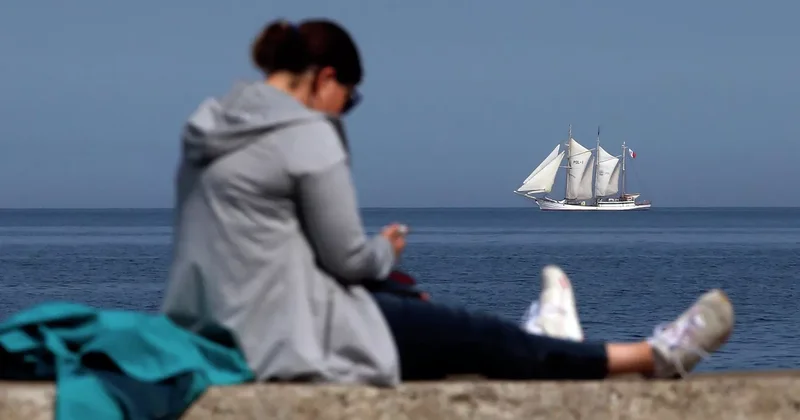 “Qərbdə tənəzzül: qadınlar daha çox yalnızlığı seçir və kişilərə maraq azalır“ “Die Welt“