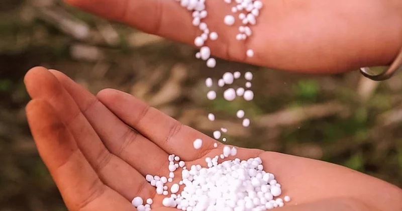 Azərbaycanın ixrac etdiyi azot gübrəsinin dəyəri artdı