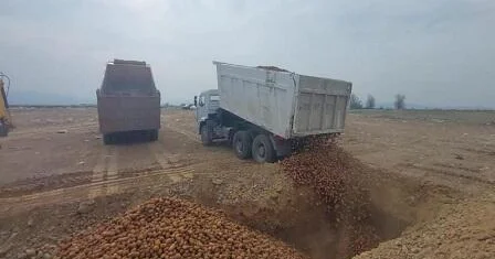 İrandan gətirilən 1,7 tonluq qənnadı məmulatı məhv edildi Foto