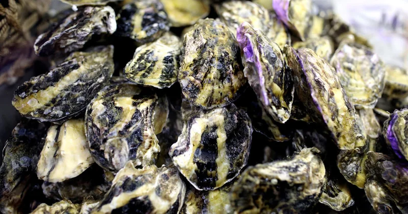 Названы три продукта, опасных для здоровья кишечника