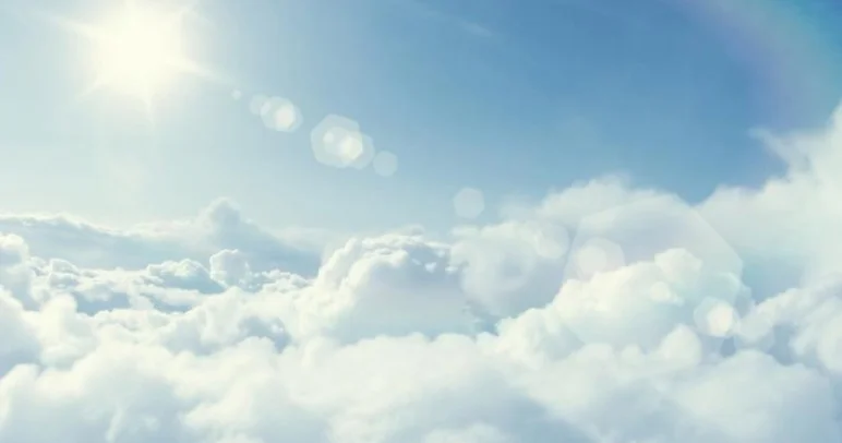 Учёный из Гарварда заявил, что нашёл рай Minval Politika