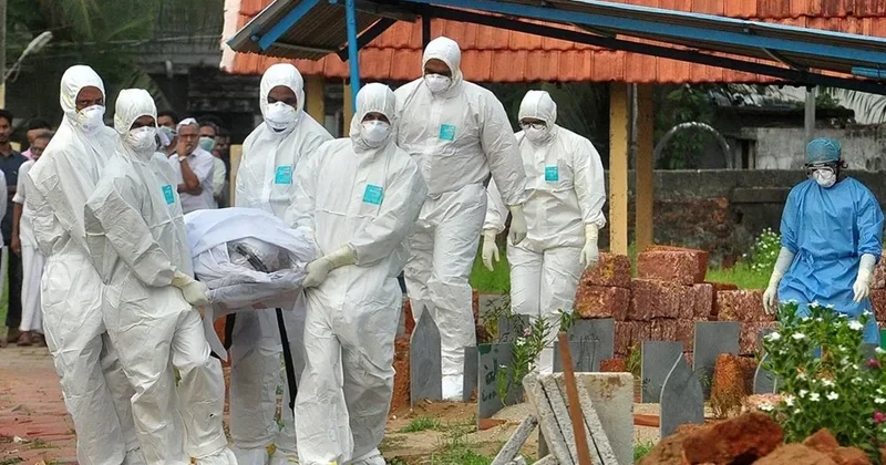 Мир насторожила вспышка смертельного вируса Нипах в Индии