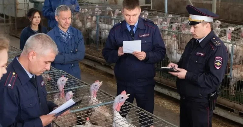 В России экс чиновник привлекал узбекских детей работать на заводе