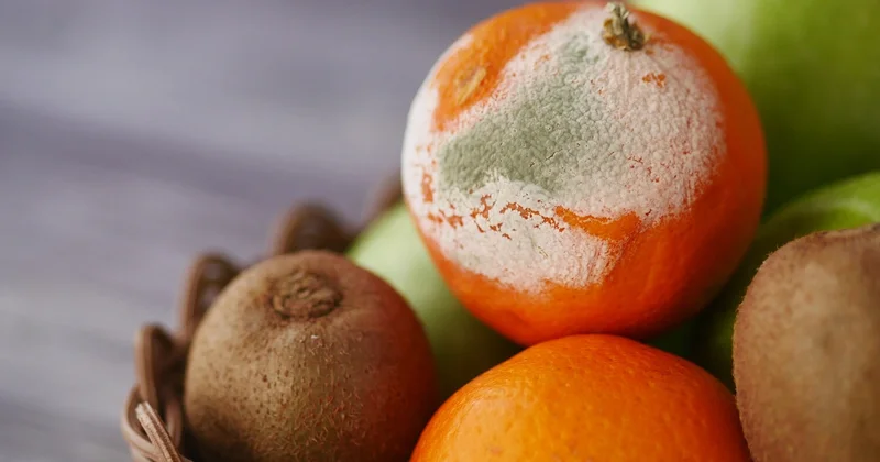 Meyvə tərəvəz niyə tez xarab olur? Mətbəxdə edilən ən yayğın səhv