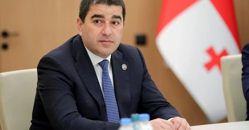 Спикер парламента Грузии резко ответил Майе Санду