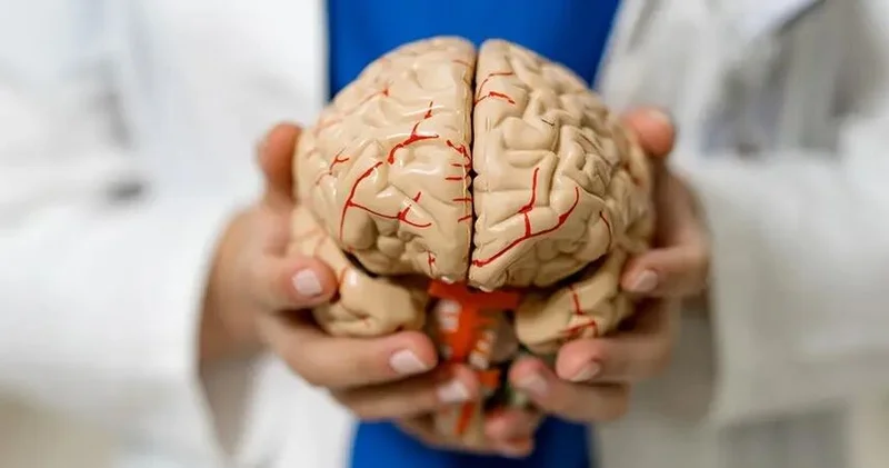 NATO da “beynin sındırılması” mexanizmləri araşdırılıb