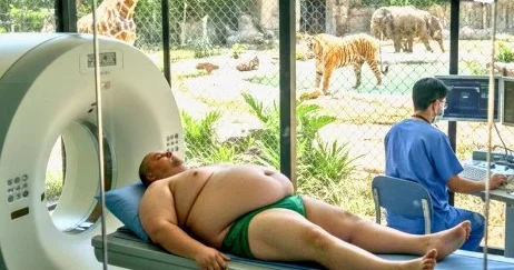 Artıq çəkili xəstələr KT və MRT üçün zooparka göndərilir