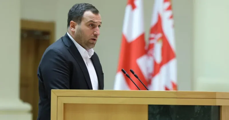 Грузинская мечта ужесточает Закон о грантах