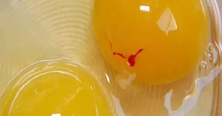 Sarısında qırmızı ləkə olan yumurta yemək olarmı?