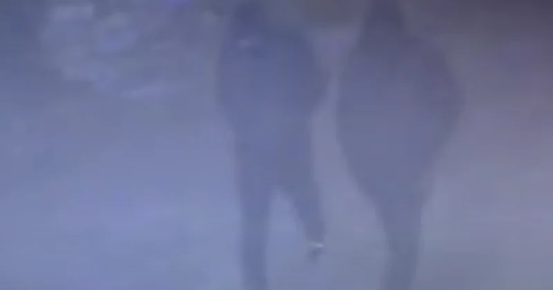 Сломали камеры, но попались: в Баку задержаны подозреваемые в дерзких кражах Minval Politika