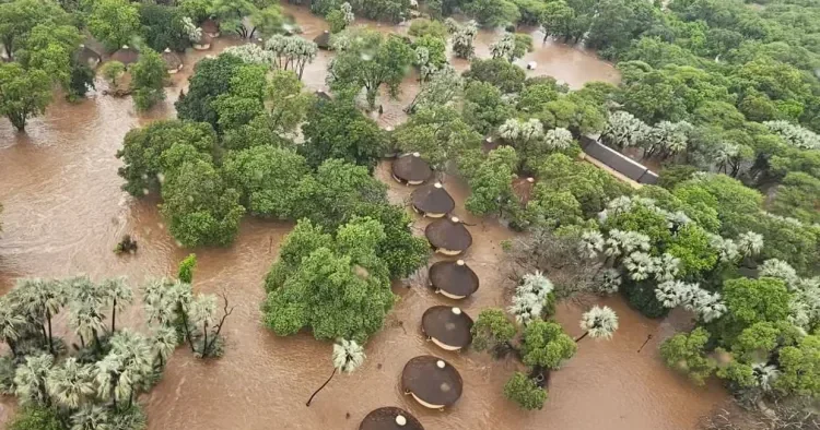 Afrikada daşqın: Timsah təhlükəsi ilə bağlı xəbərdarlıq EDİLDİ