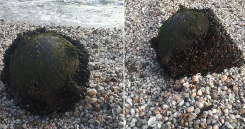 Rumıniyada dəniz minası aşkarlanıb