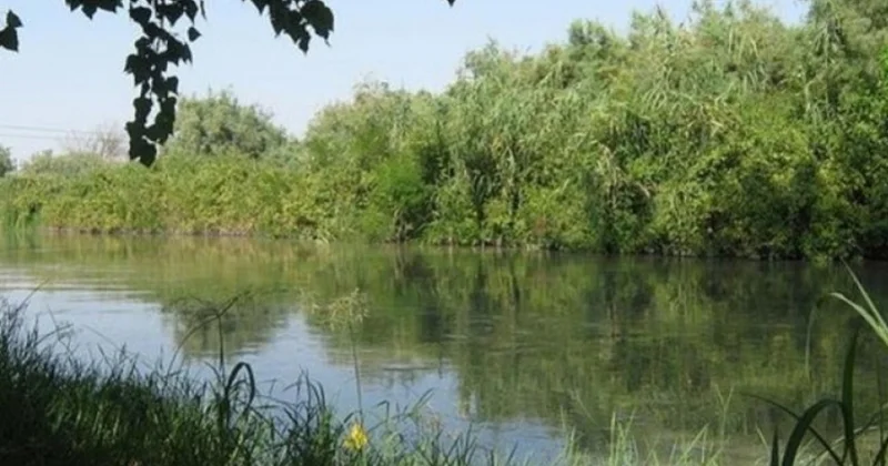 Coğrafiyaşünas alim: Tuqay meşələrinin qorunması ekoloji balans üçün vacibdir