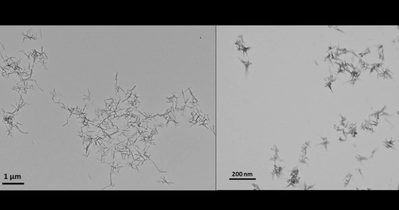 Xərçəng hüceyrələrini məhv edən nanomaterial hazırlandı