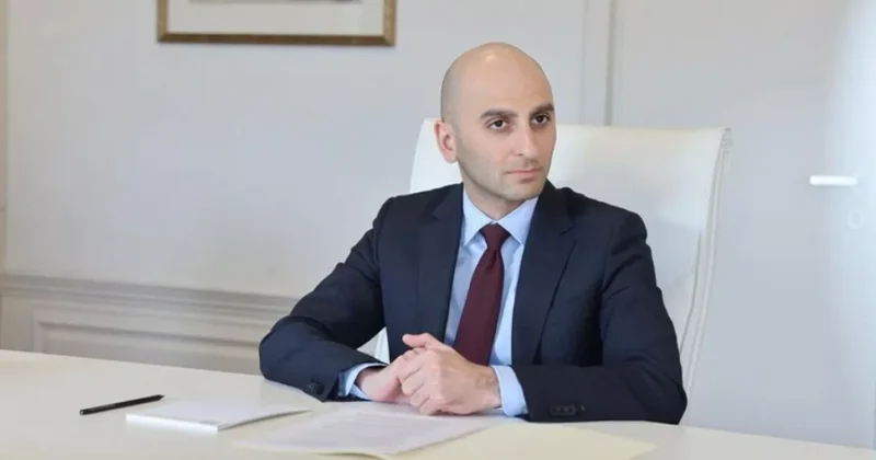 Gürcüstanın sabiq səhiyyə nazirinin müavini girov qarşılığında azadlığa buraxılıb