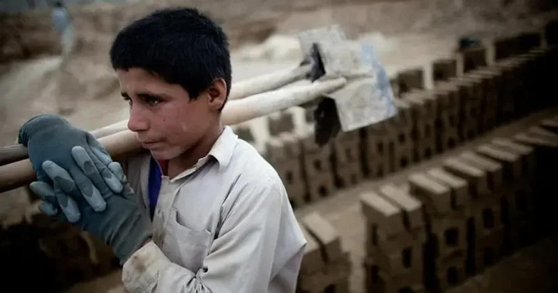 Azərbaycanda çətin həyat şəraitindəki uşaqları aşkarlayacaq qurum müəyyənləşir