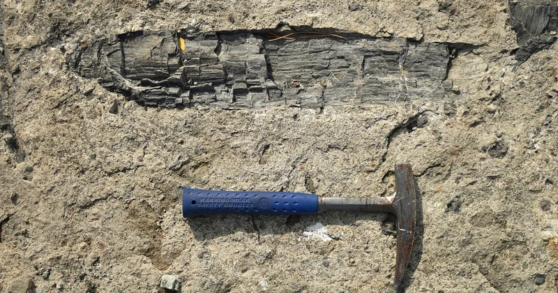 Yunanıstanda ən qədim taxta alətlər aşkar edilib