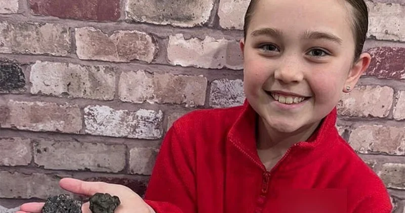 Школьница нашла на пляже метеорит, который старше Земли