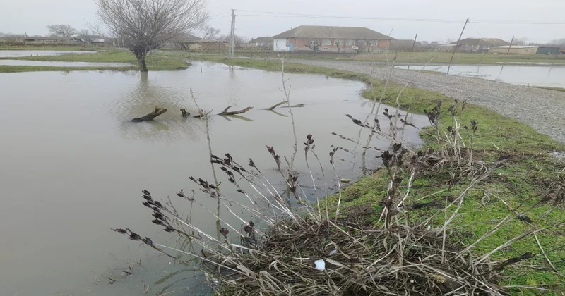 Masallıda əkin sahələrini su basıb FOTO