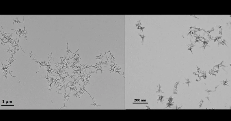 Ученые из США разработали наноматериал, уничтожающий раковые клетки