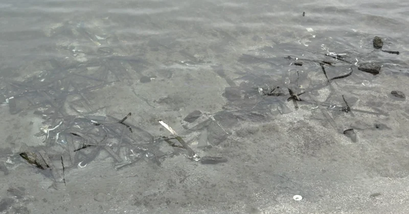 Bakı Buxtasının sualtı problemləri gündəmdə