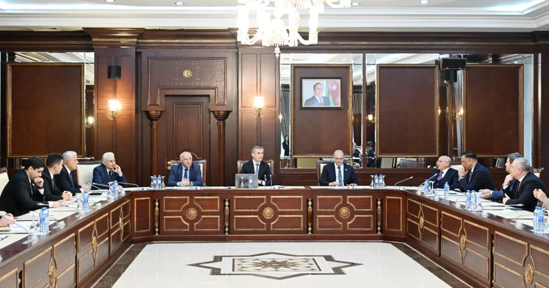 Milli Məclisin İnsan hüquqları komitəsinin növbəti iclası olub