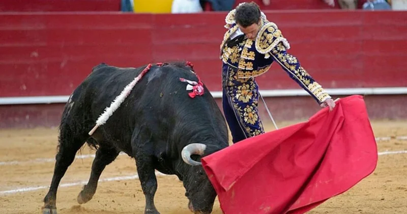 İspaniyada uşaqlar və yeniyetmələrlə bağlı YENİ QADAĞA