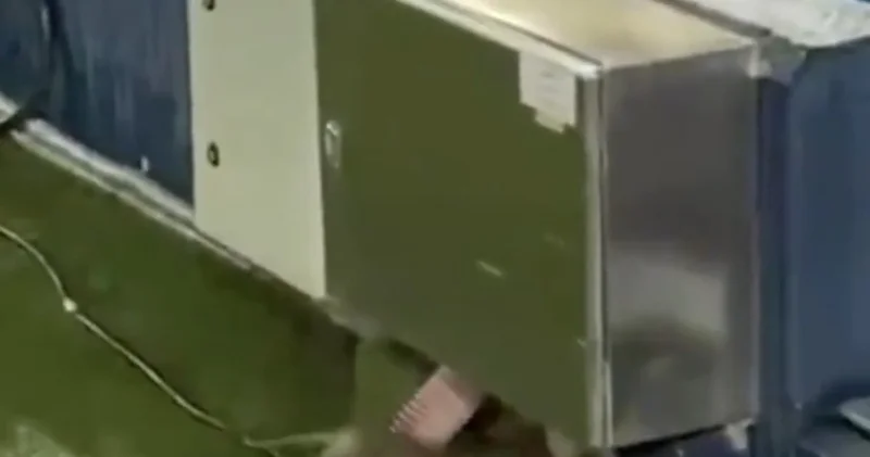 Барселона сыграет в Лиге чемпионов на стадионе с крысами Minval Politika