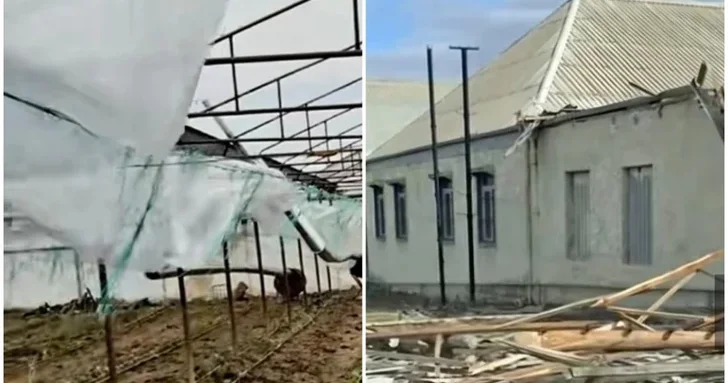Сильный ветер сорвал крыши и повредил теплицы в Гёйгёле и Шамкире