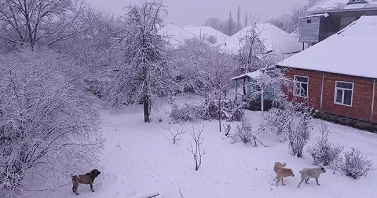 34 sm qar yağıb FAKTİKİ HAVA