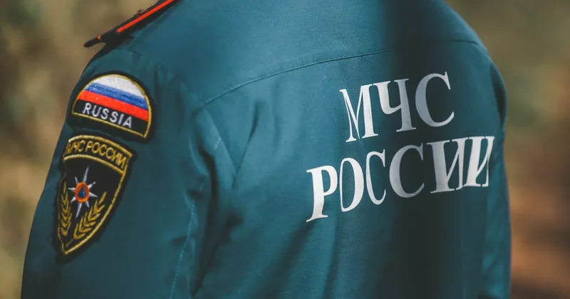 Народная артистка отсудила у МЧС России десятки тысяч