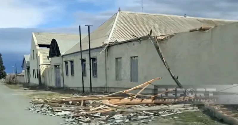 Сильный ветер повредил крыши домов в Гёйгёле и нанес ущерб теплицам в Шамкире