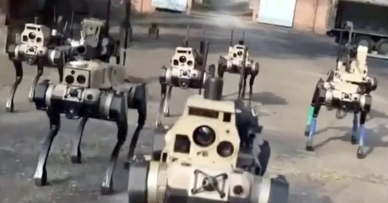 Китайские военные роботы собаки стали волчьей стаей с общим мозгом