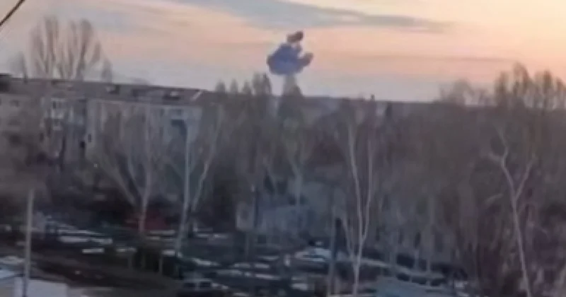 Фламинго прилетел в Чапаевск видео