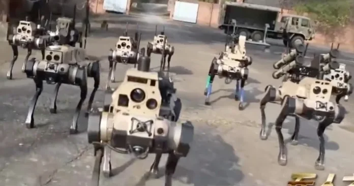 Çinin robot itləri canavar sürüsü nə çevrildi: ortaq beyinlə idarə olunurlar VİDEO