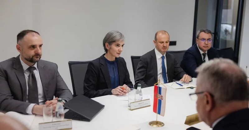 Всемирный банк готов поддержать проекты в газовом секторе Сербии