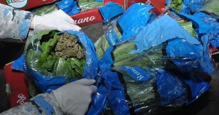 Салат с сюрпризом: азербайджанские таможенники изъяли 56 кг марихуаны