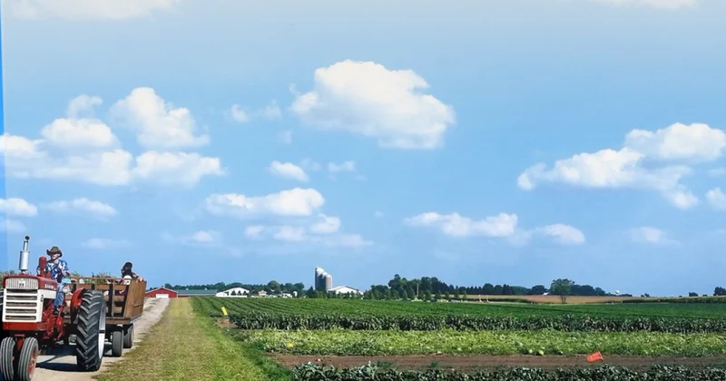 Белый дом запустил OnlyFarms