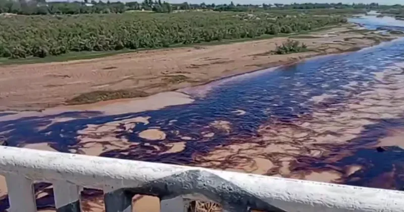 В Узбекистане нефтепродукты попали в реку: ВИДЕО