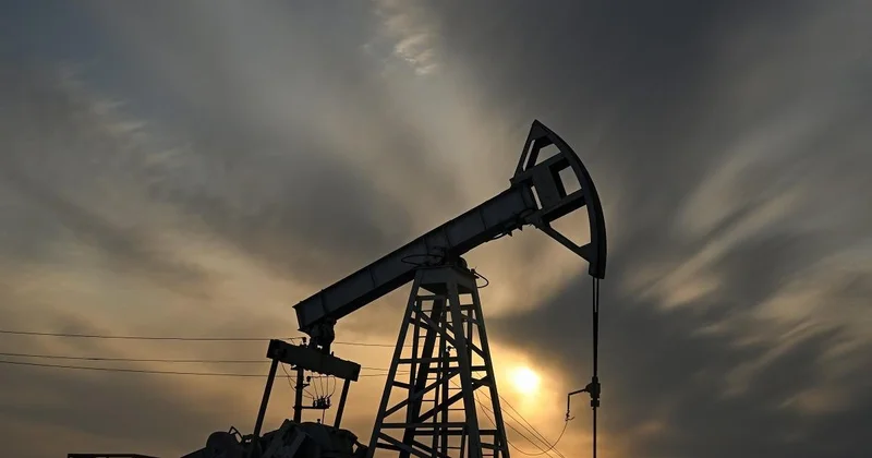 СМИ: Выход ОАЭ из ОПЕК может привести к увеличению предложения нефти