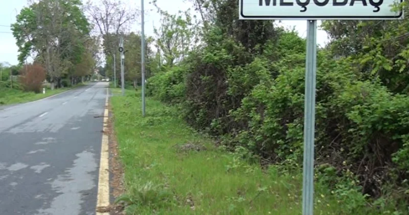 Qaxda canavarlar qoyun sürüsünə hücum edib, 5 heyvan tələf olub