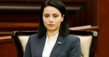 Azərbaycan Çexiya siyasi dialoqu: qarşılıqlı maraqlar və yeni prioritetlər